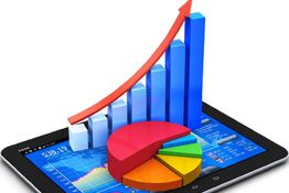 Информационный отчет ЛРО ВОГ 2021 Организационная работа