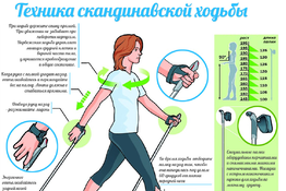 Семинар для молодых инвалидов на тему: «Скандинавская ходьба»
