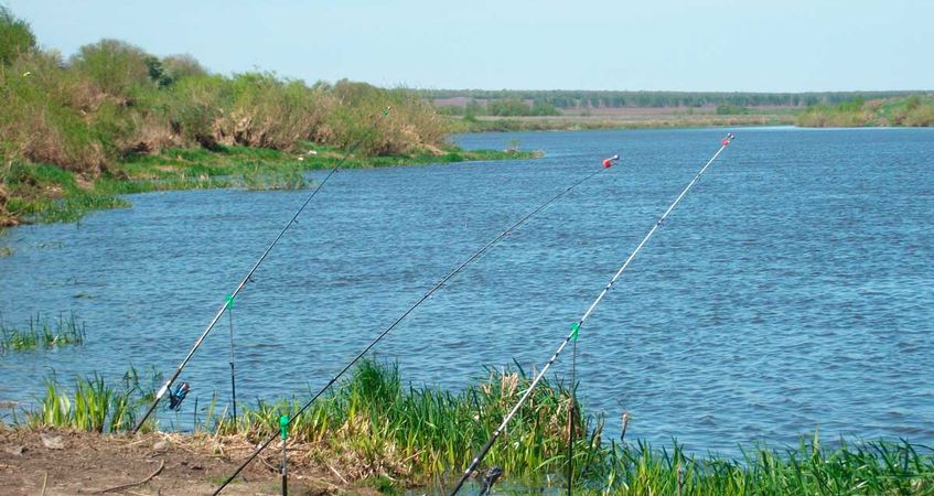 Открытое соревнование по рыболовному спорту «Глух, но ловок»